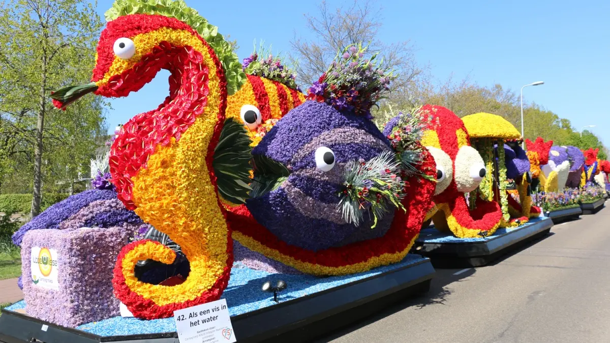 flower-parade-haarlem-2