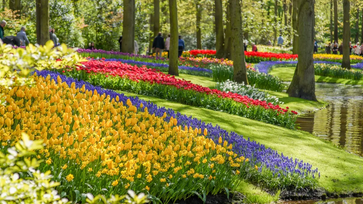 keukenhof-entry-round-3