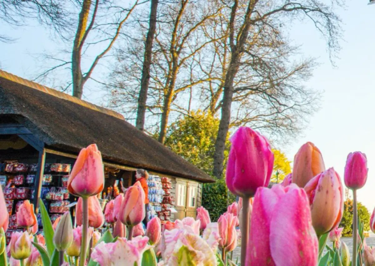 highest rated keukenhof tours