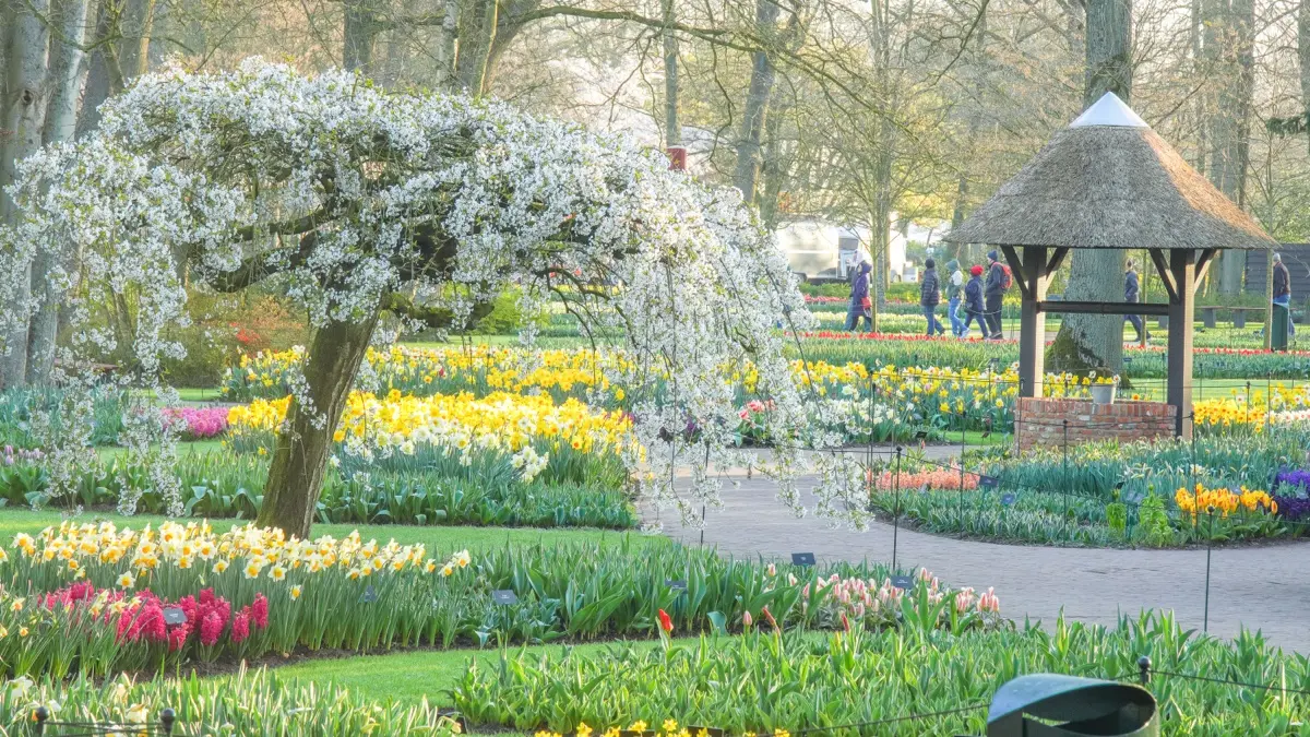 keukenhof-zaanse-schans-5