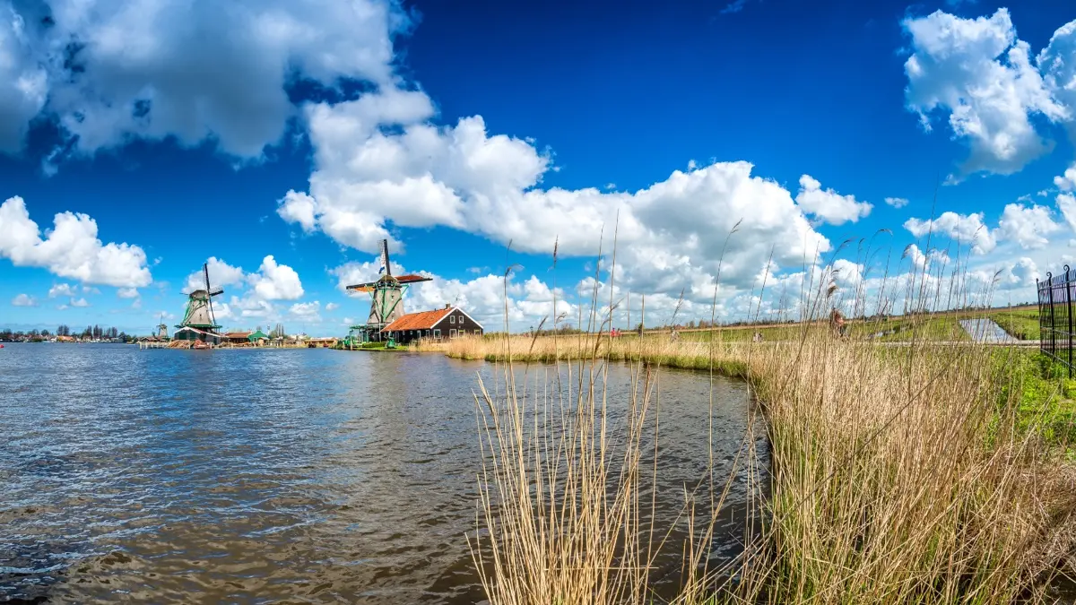 zaanse-windmill-3