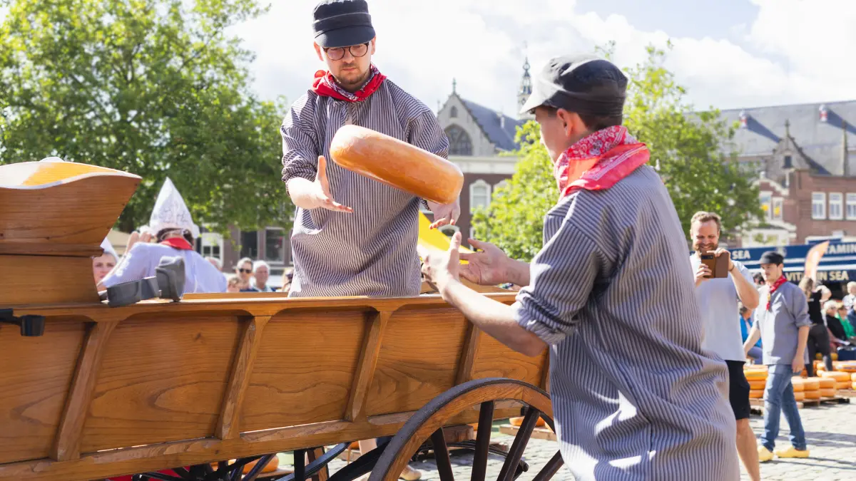 Cheese market 1200x675 07