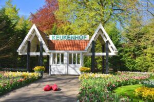 what to do in amsterdam for two days