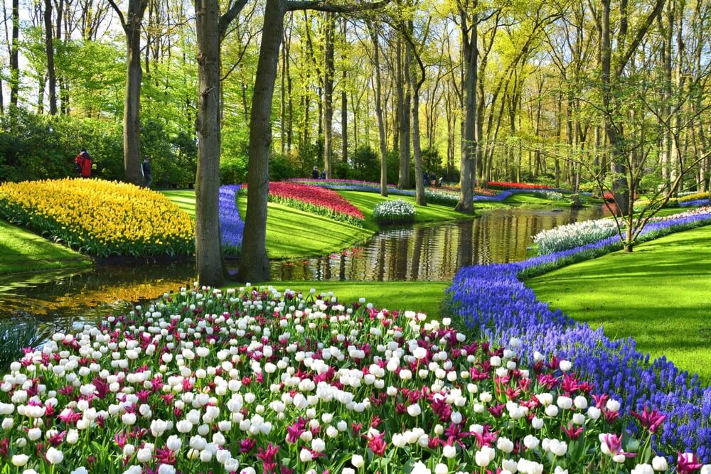 visit the most beautiful region keukenhof
