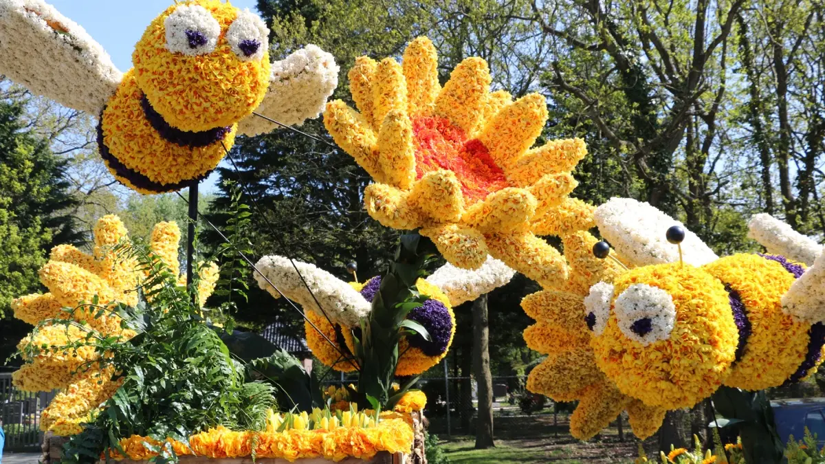 flower-parade-keukenhof-10