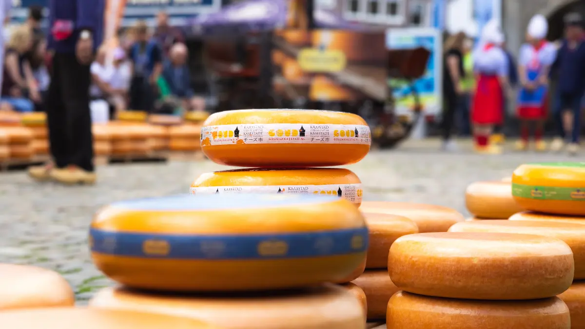 Cheese market 1200x675 01