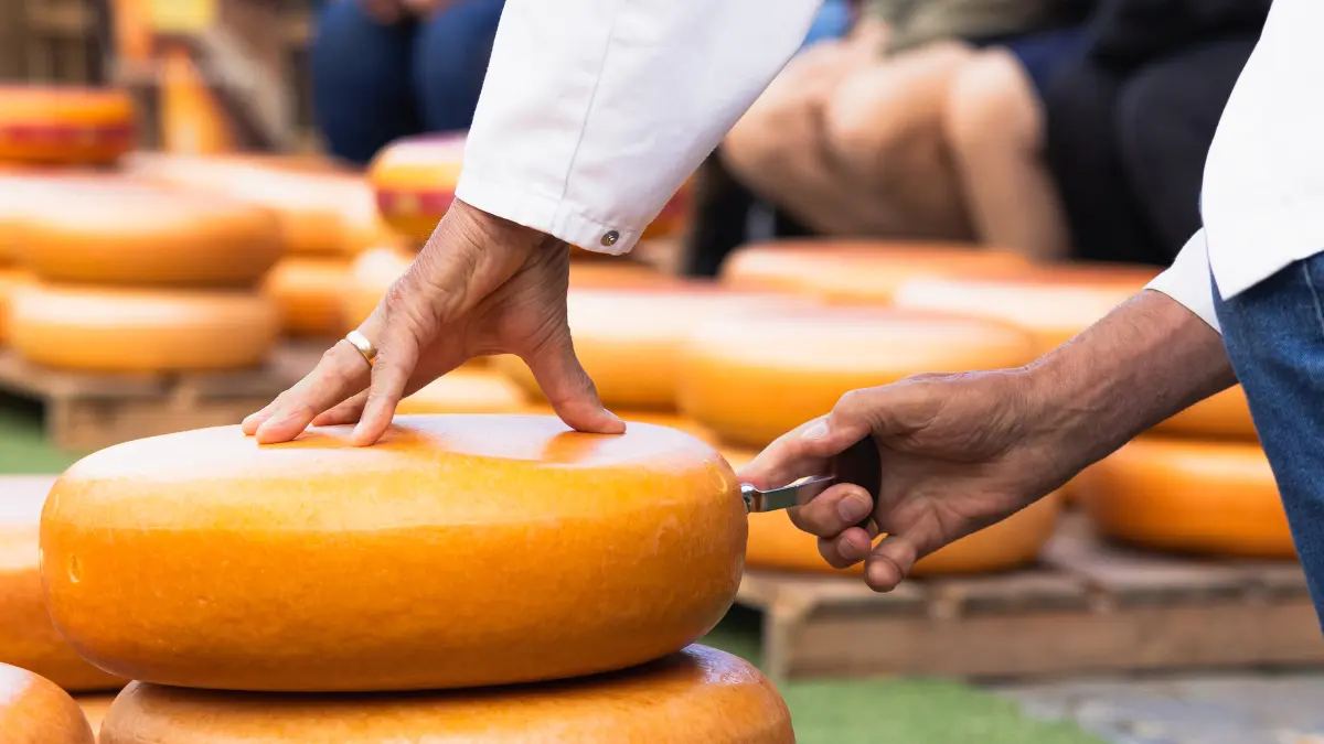 Cheese market 1200x675 04