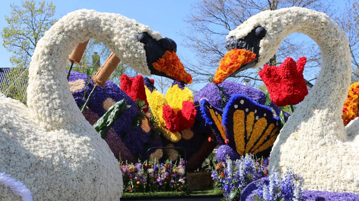 flower-parade-haarlem-4